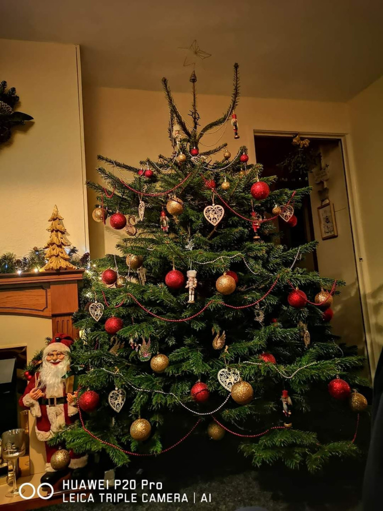 Wasze wspaniałe choinki, podziwiajcie! Odszukajcie swoją