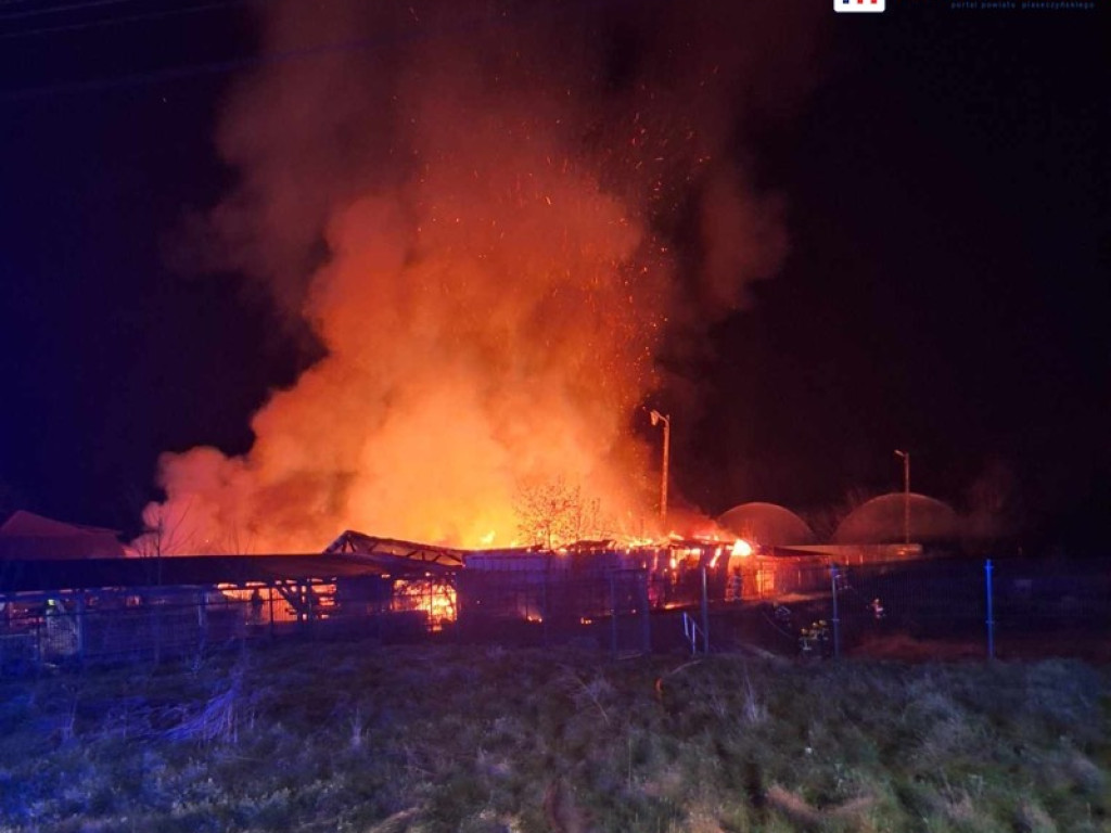Pożar pochłonął skład z drewnem