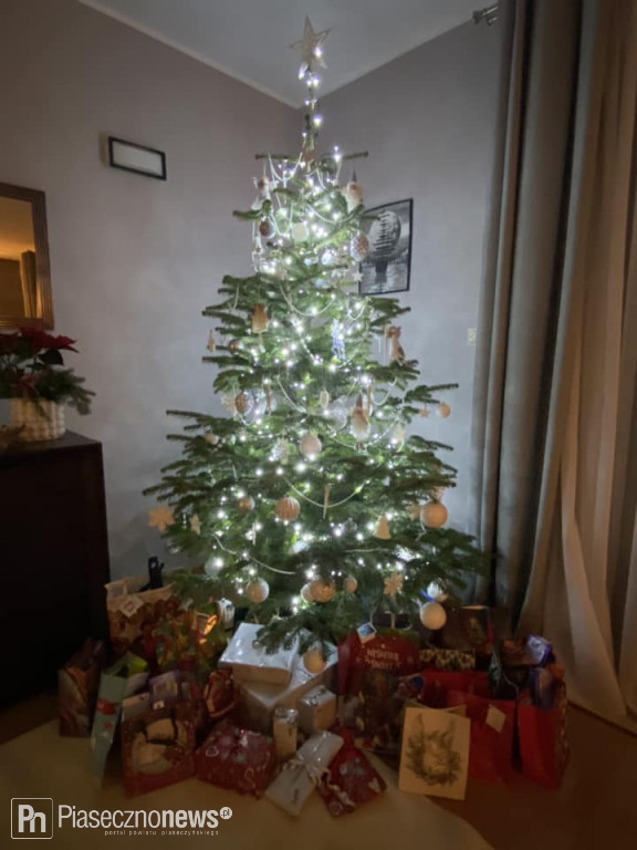 102 choinki naszych Czytelników!