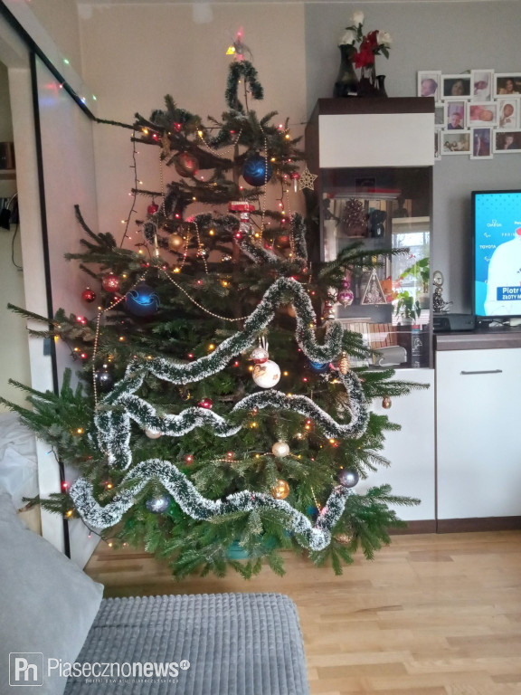102 choinki naszych Czytelników!