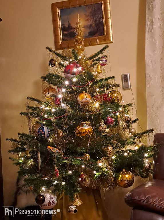 102 choinki naszych Czytelników!