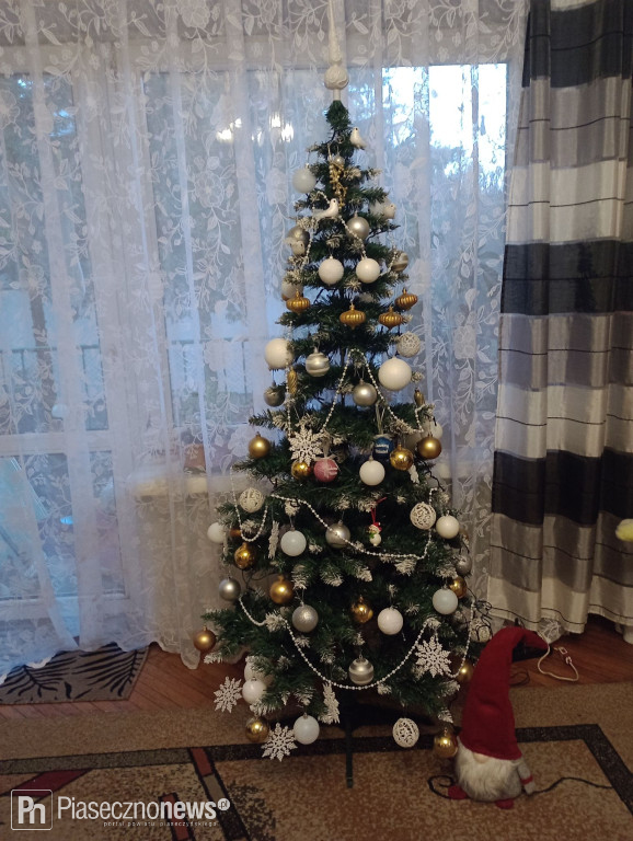102 choinki naszych Czytelników!