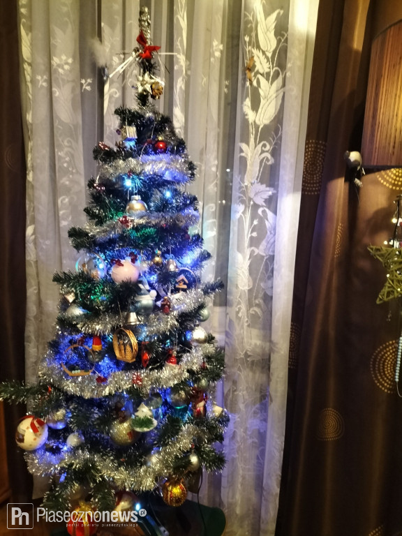 102 choinki naszych Czytelników!