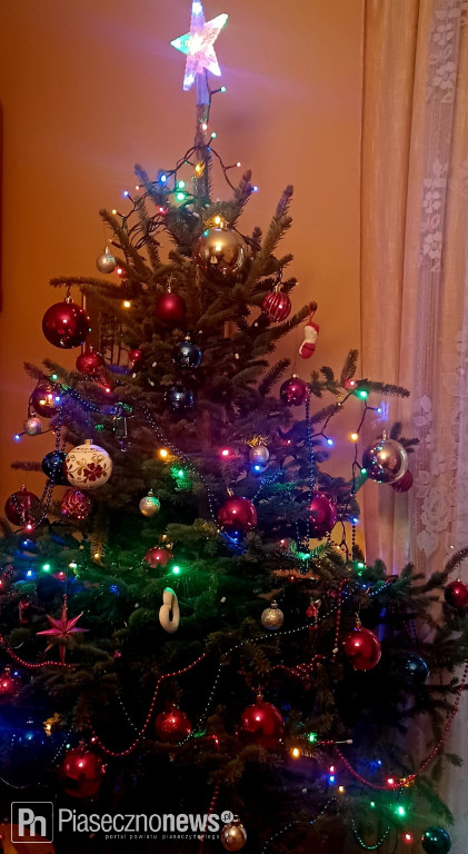 102 choinki naszych Czytelników!