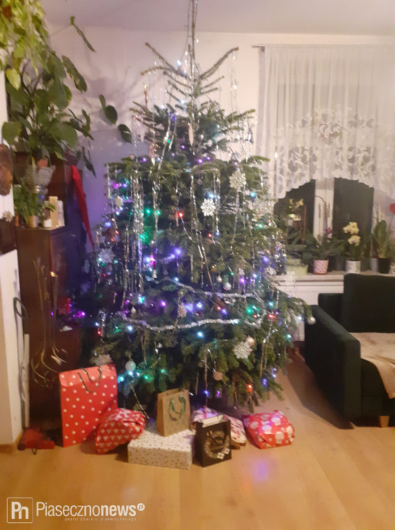 102 choinki naszych Czytelników!