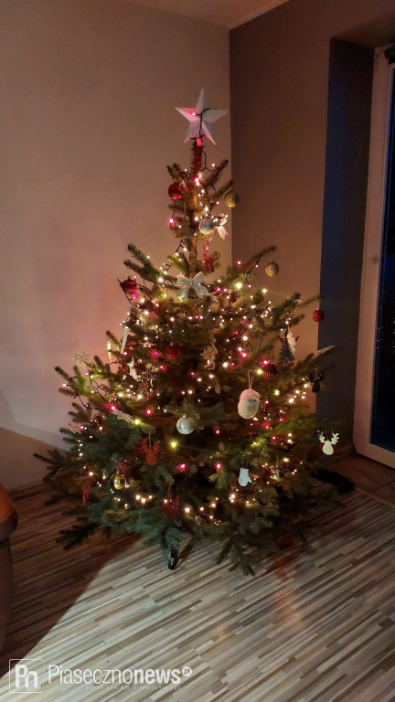 102 choinki naszych Czytelników!