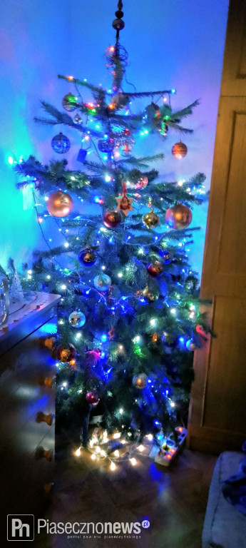 102 choinki naszych Czytelników!