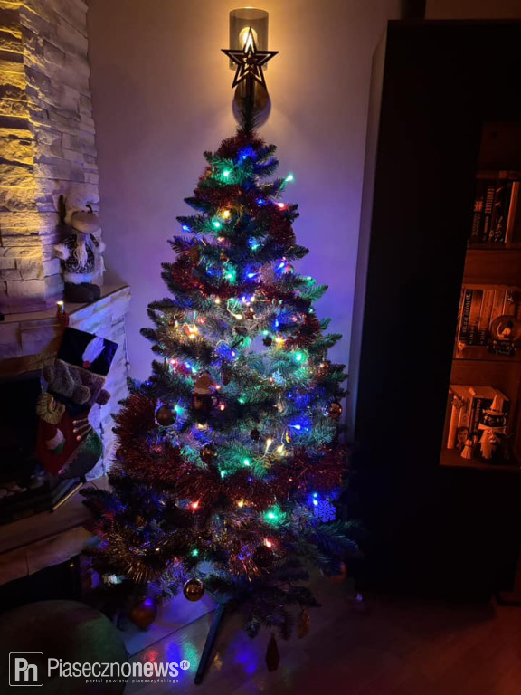 102 choinki naszych Czytelników!