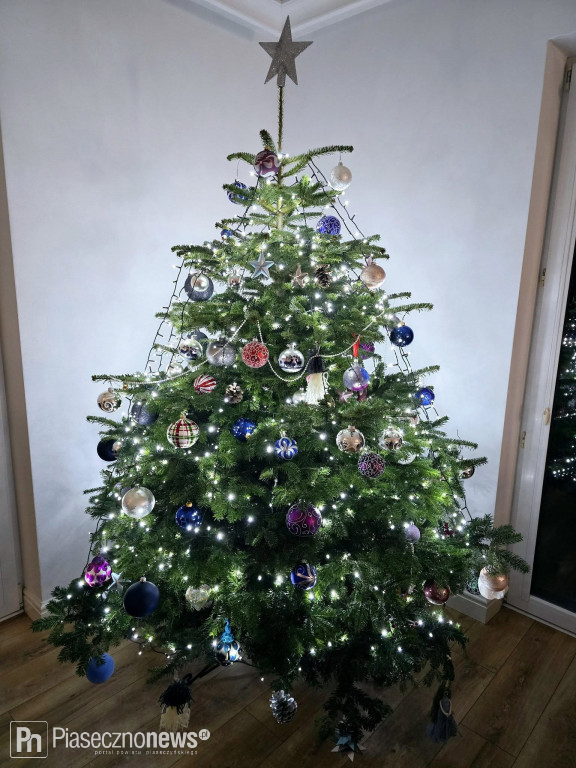 102 choinki naszych Czytelników!