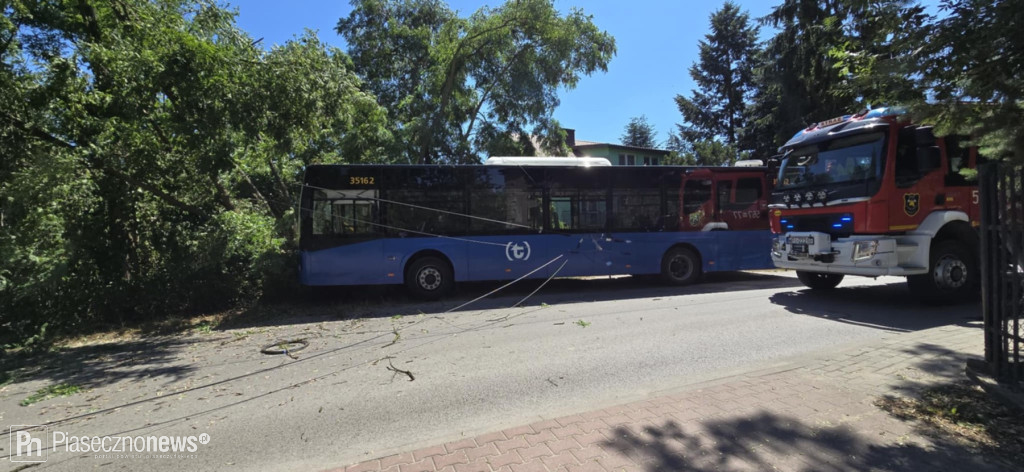 Autobus wjechał w drzewo