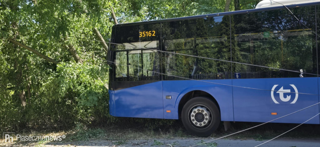 Autobus wjechał w drzewo