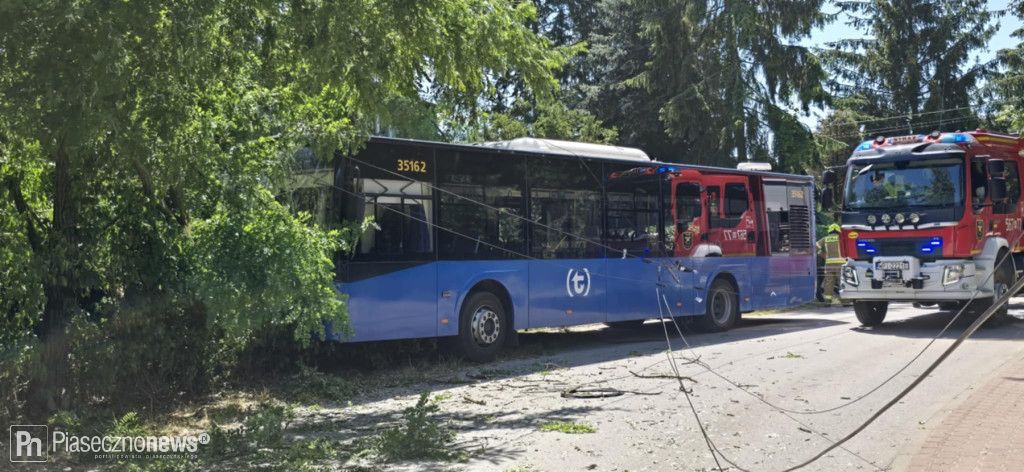 Autobus wjechał w drzewo