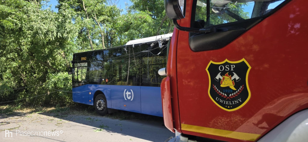 Autobus wjechał w drzewo