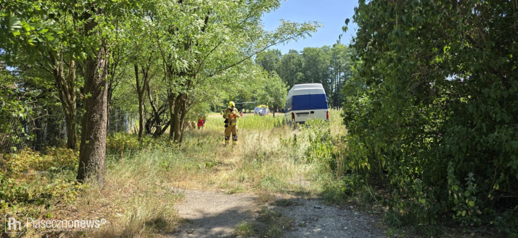 Autobus wjechał w drzewo