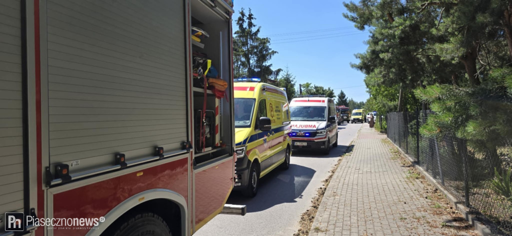Autobus wjechał w drzewo