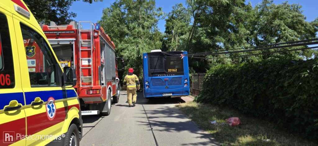 Autobus wjechał w drzewo