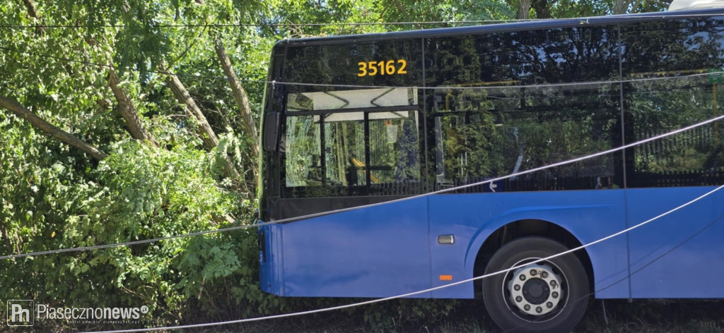 Autobus wjechał w drzewo