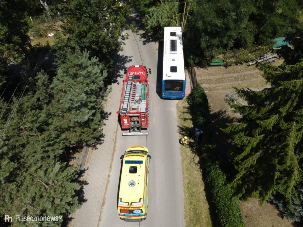 Autobus wjechał w drzewo
