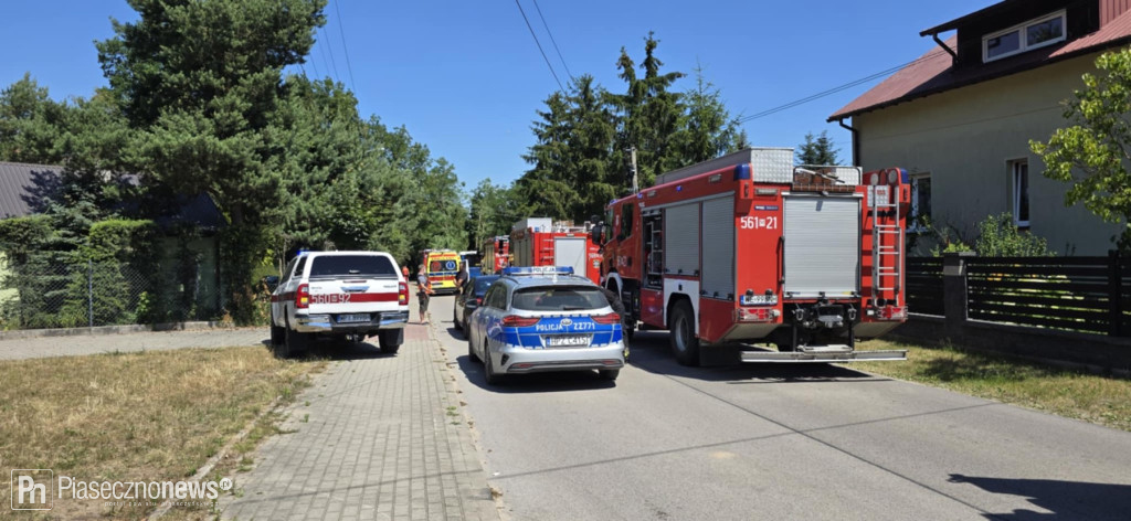 Autobus wjechał w drzewo