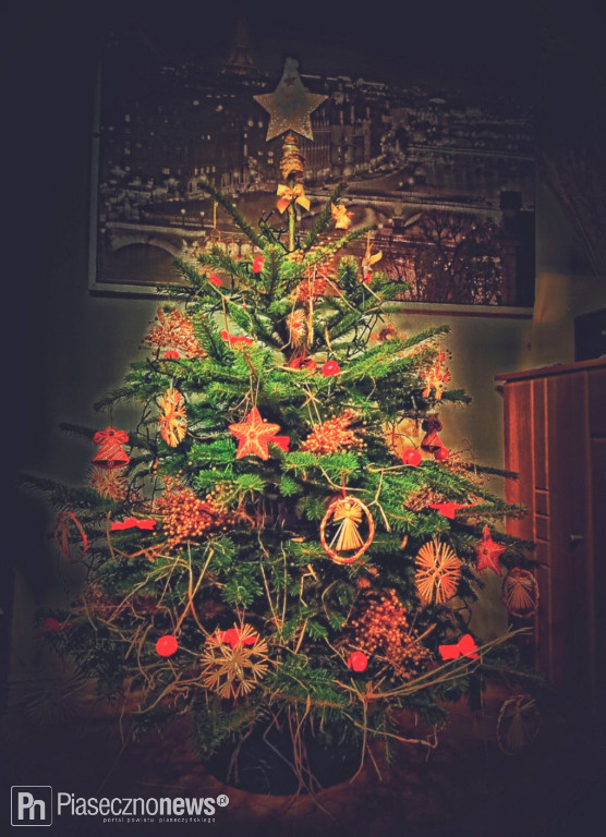 Dziękujemy za zdjęcia Waszych pięknych choinek