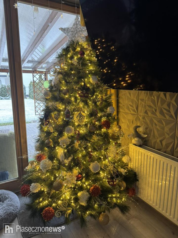 Dziękujemy za zdjęcia Waszych pięknych choinek