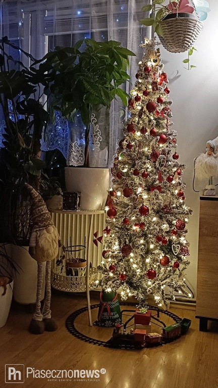 Dziękujemy za zdjęcia Waszych pięknych choinek