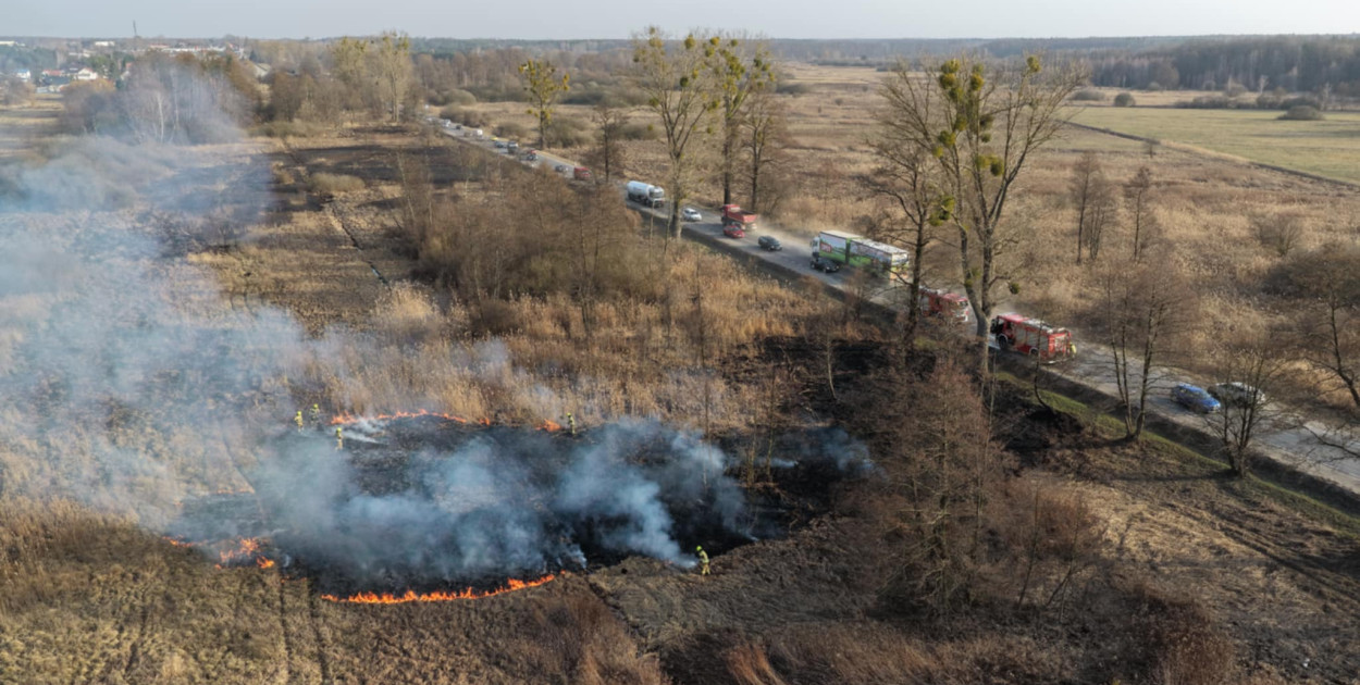 Pożar trawy! Strażacy w akcji