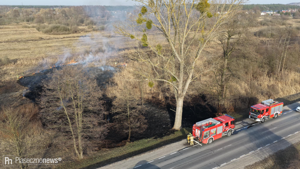 Pożar trawy! Strażacy w akcji