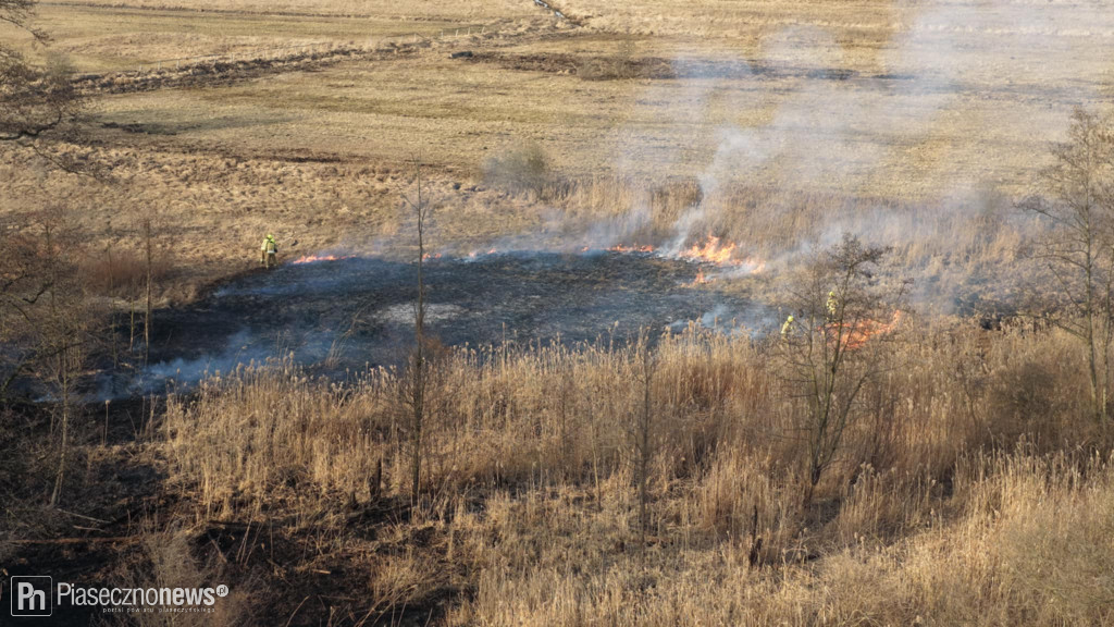 Pożar trawy! Strażacy w akcji