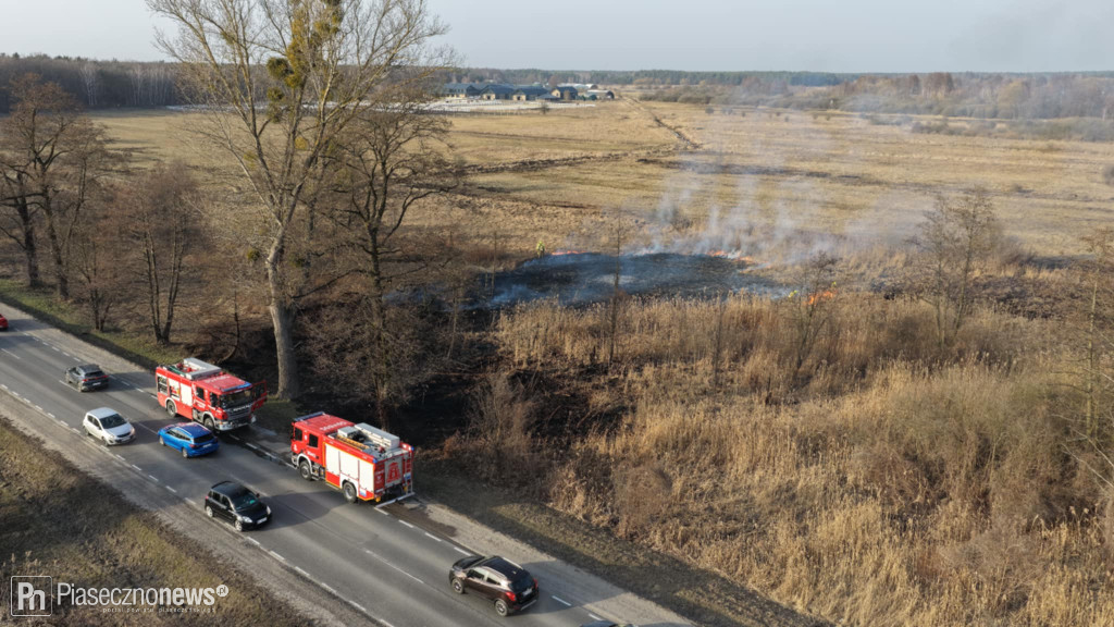 Pożar trawy! Strażacy w akcji