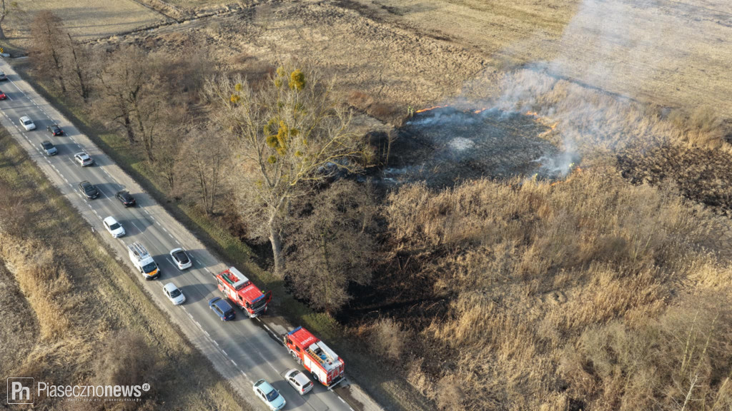 Pożar trawy! Strażacy w akcji