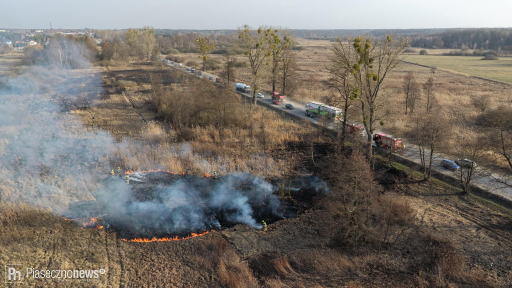 Pożar trawy! Strażacy w akcji