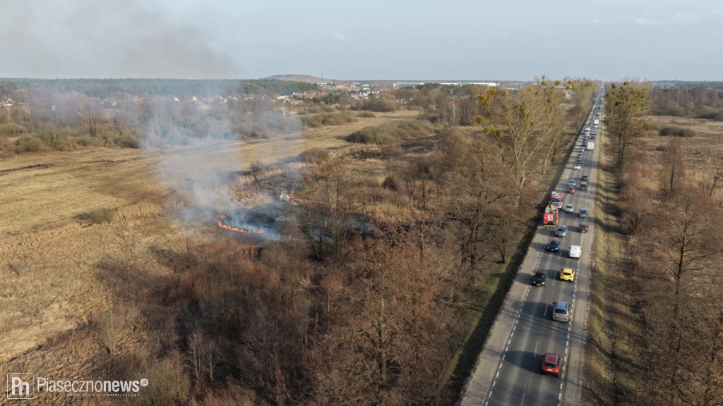 Pożar trawy! Strażacy w akcji