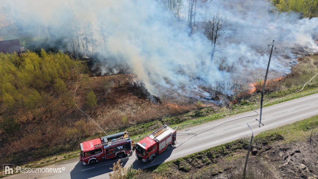 8 zastępów straży pożarnej uratowało drewniany dom