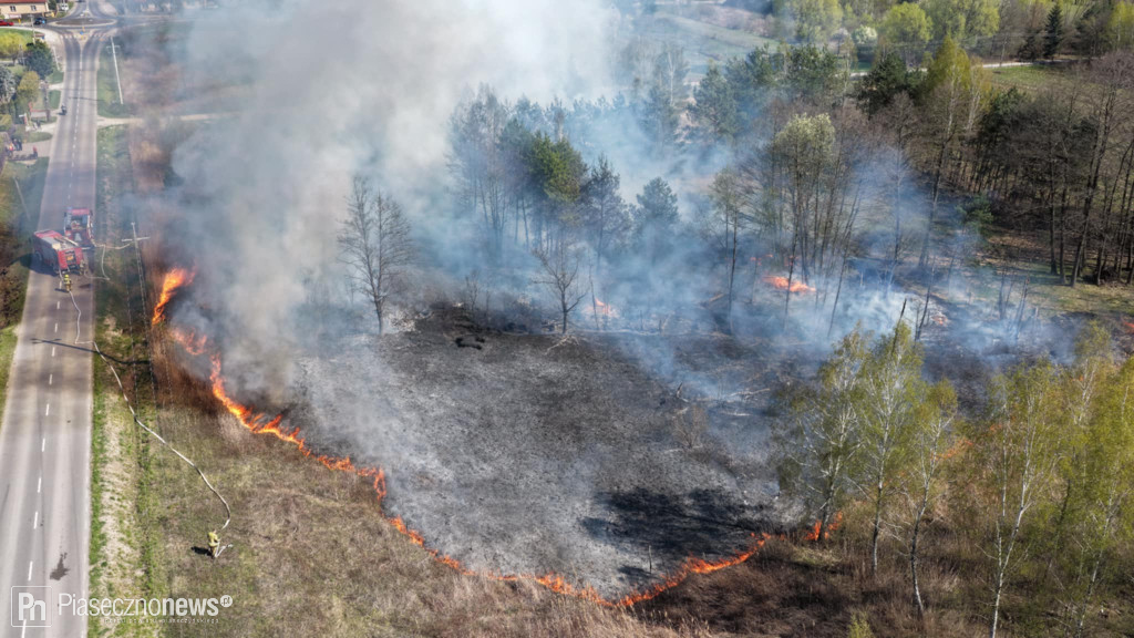 8 zastępów straży pożarnej uratowało drewniany dom