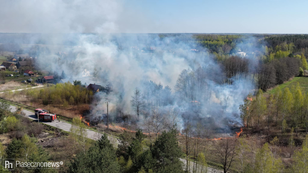 8 zastępów straży pożarnej uratowało drewniany dom