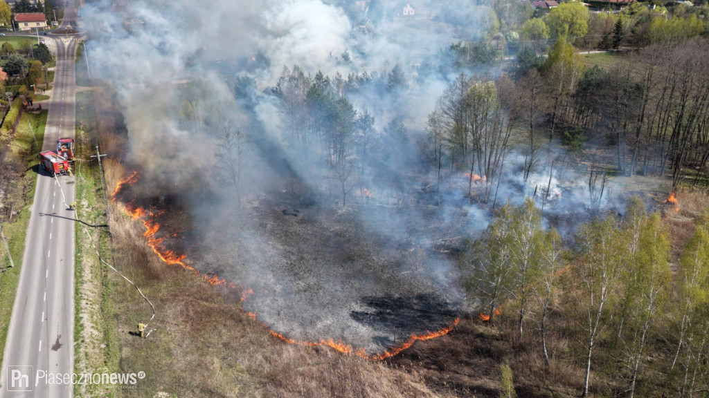 8 zastępów straży pożarnej uratowało drewniany dom