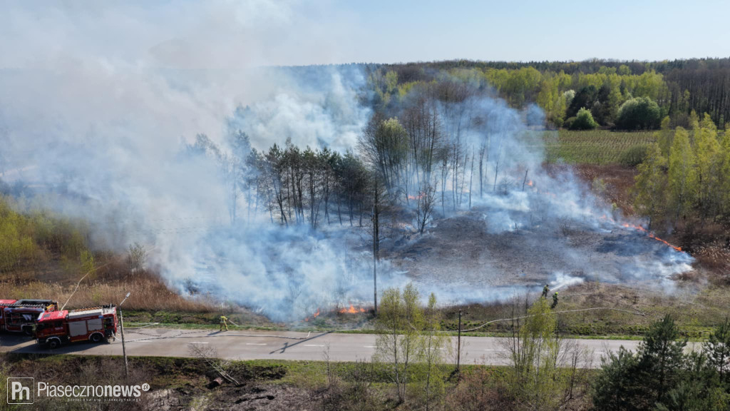 8 zastępów straży pożarnej uratowało drewniany dom