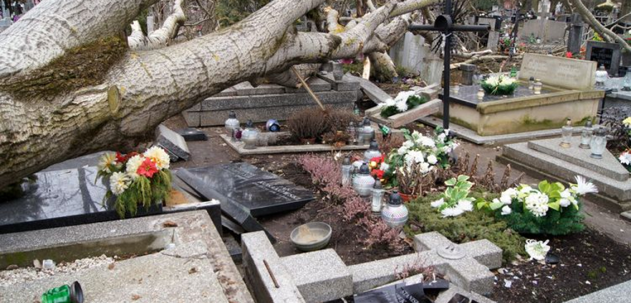 Wielka demolka na cmentarzu