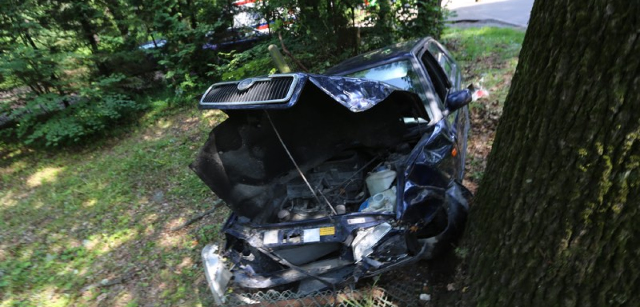 Prowadziła bez prawa jazdy. Droga skończyła się na drzewie