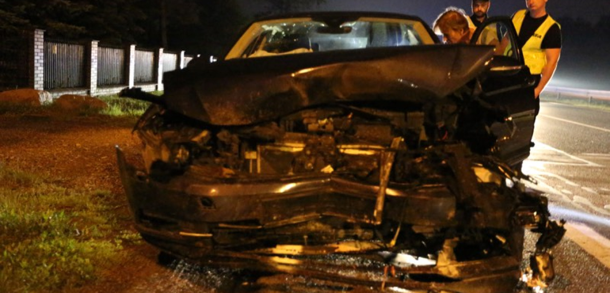 Masakra na Al. Krakowskiej. Samochód zabił 5 dzików!