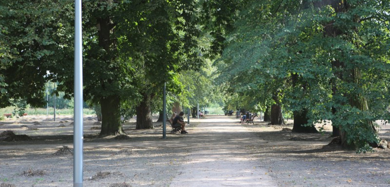 Park pięknieje...i budzi kontrowersje