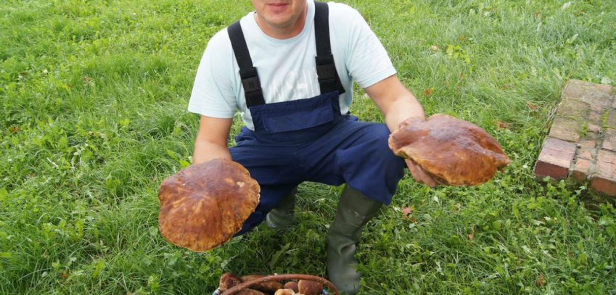 Z maczetą na grzyby