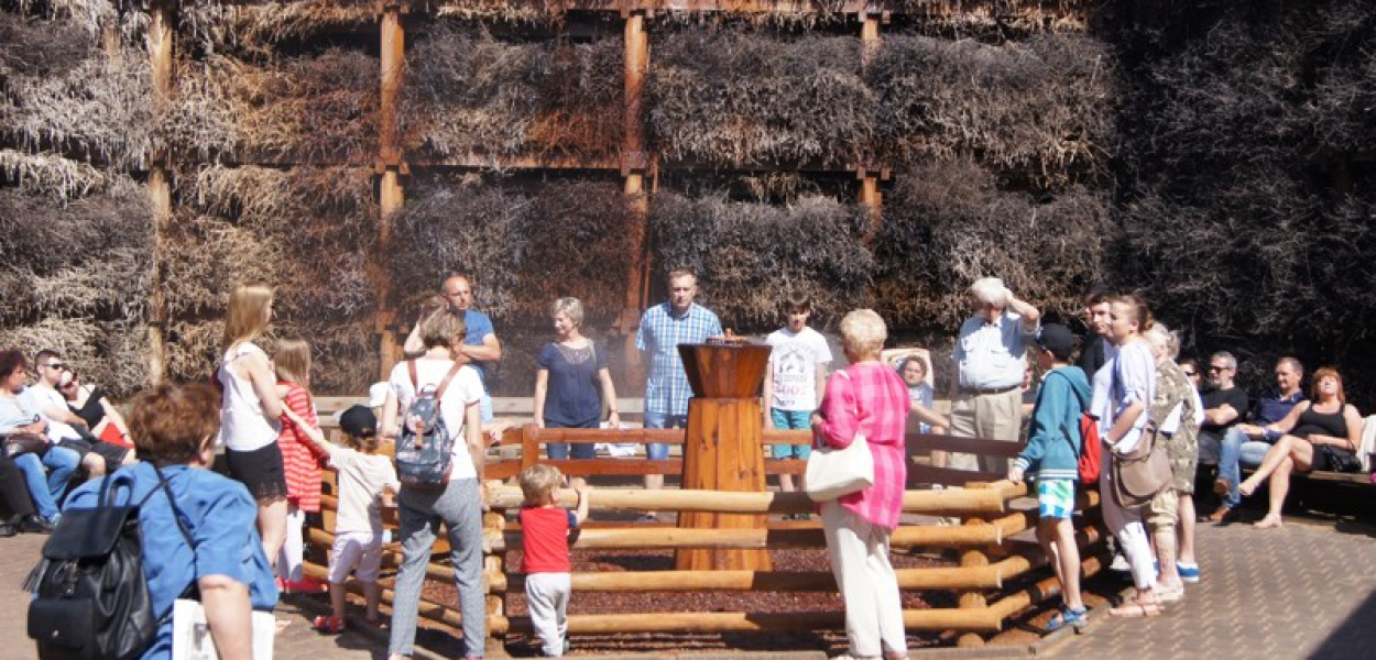 Gęsta atmosfera wokół tężni