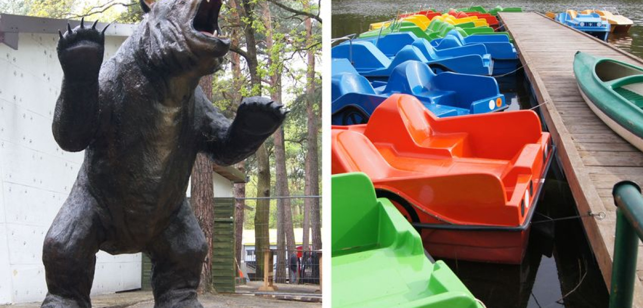 Witamy na innej planecie. Planecie Zalesie