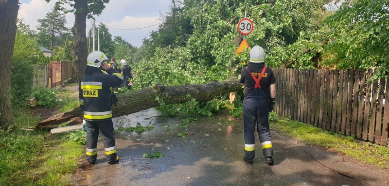  To była trąba powietrzna! Połamane drzewa, pozrywana sieć energetyczna,