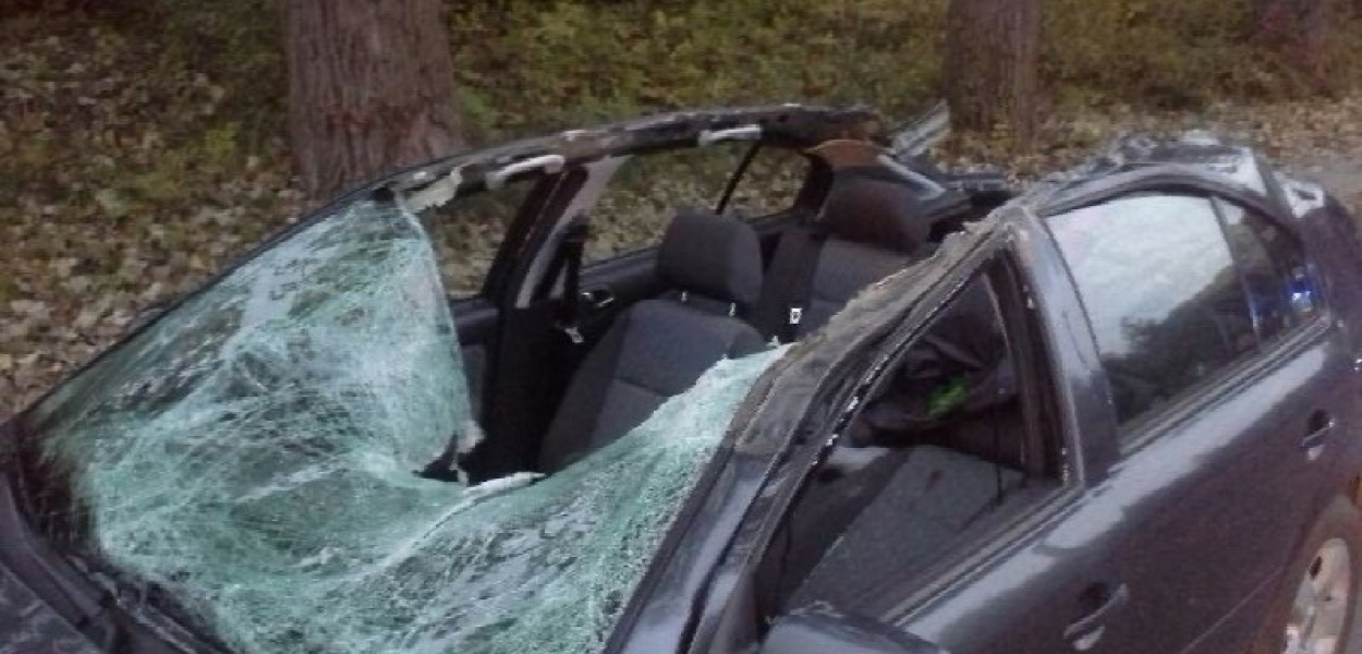 Koszmarny wypadek! Skodzie ucięło dach! Kierowca w stanie ciężkim