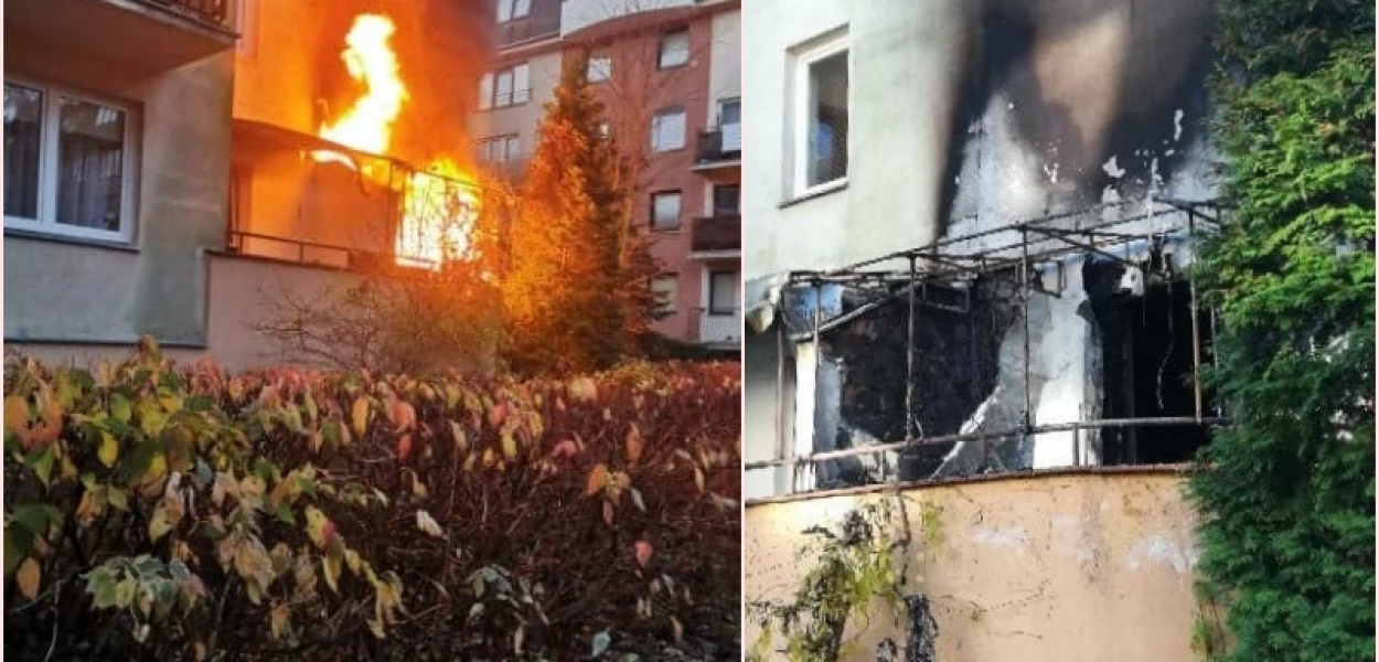 Pożar na ptasim osiedlu. Zaskakująca przyczyna