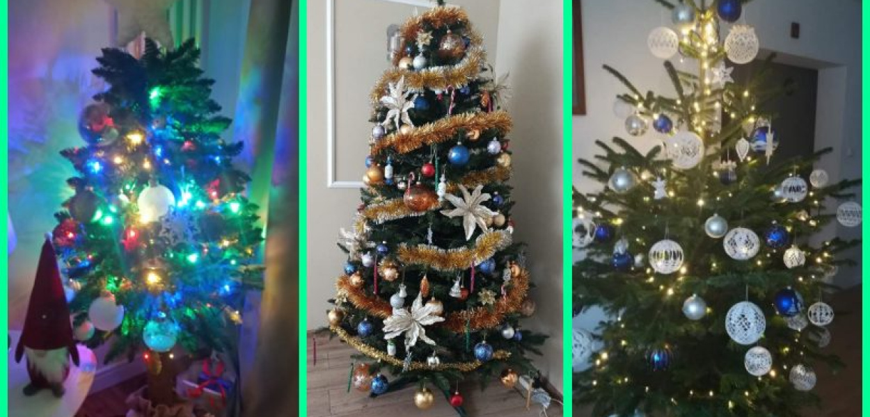 Wasze wspaniałe choinki, podziwiajcie! Odszukajcie swoją