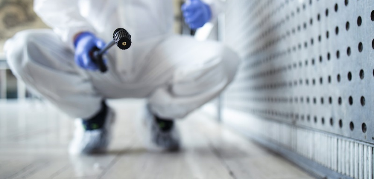 Problem z gryzoniami - kiedy należy wezwać specjalistów od deratyzacji?